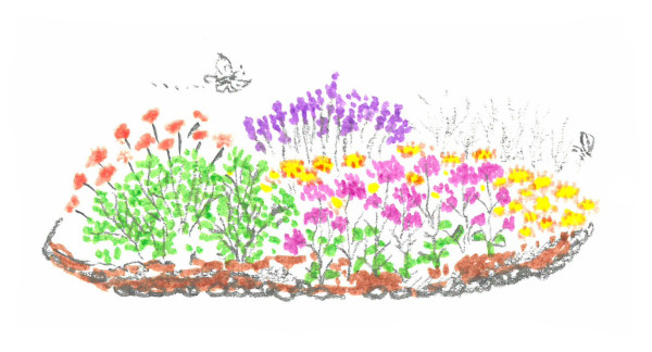Massif fleuri pour papillons &copy; Nicolas Macaire / LPO